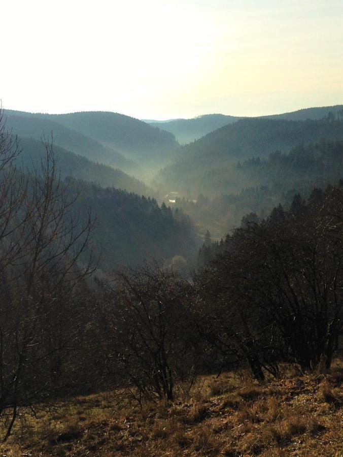 Harzhuisje - ซังคท์อันเดรอัสแบร์ก ภายนอก รูปภาพ