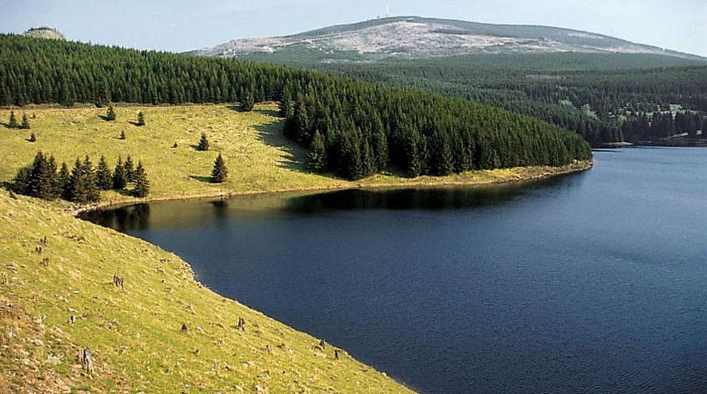 Harzhuisje - ซังคท์อันเดรอัสแบร์ก ภายนอก รูปภาพ